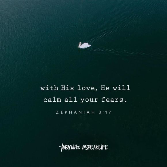 Meet your Posher, Ginger - Picture 1 of 1